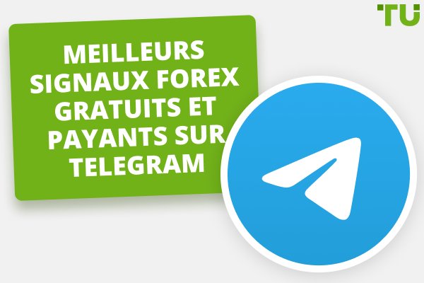 7 meilleurs signaux Forex gratuits et payants sur Telegram