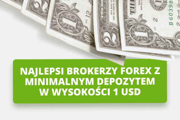Najlepsi brokerzy Forex z minimalnym depozytem 1 USD na rok 2024