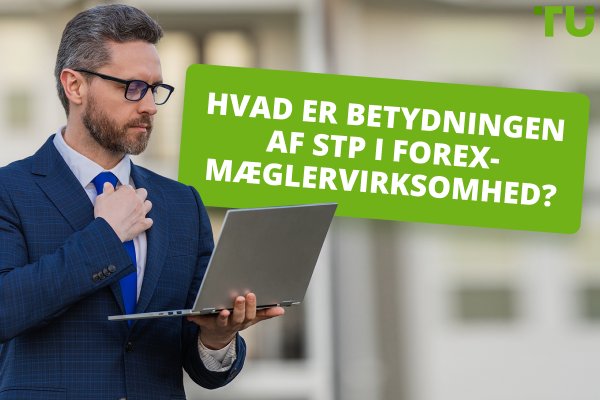 Hvad er betydningen af STP i Forex-mæglervirksomhed?