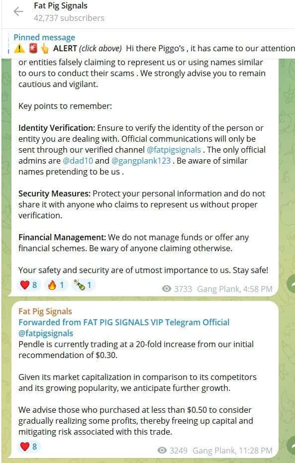 Groupe Fat Pig Signals sur Telegram