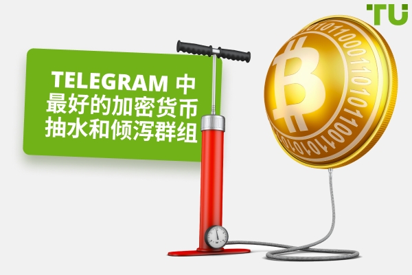 Telegram 中最好的加密货币抽水和倾泻群组