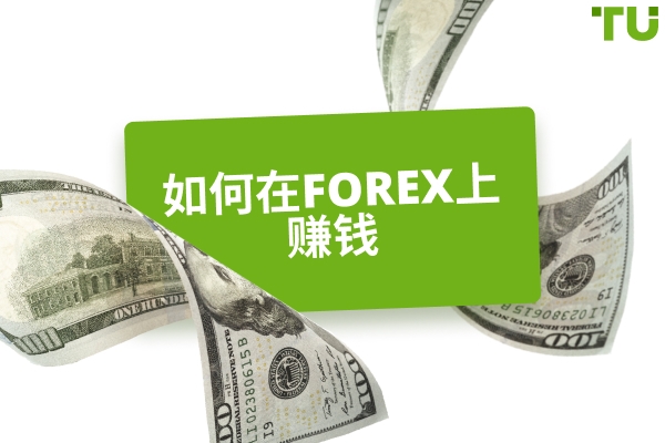 如何在Forex 上赚钱:逐步指南