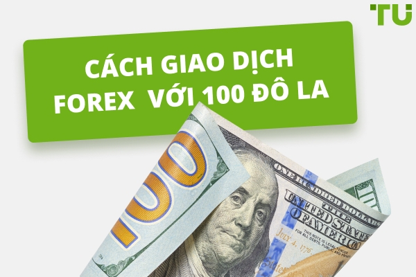 Cách giao dịch Forex với 100 đô la: Hướng dẫn cho người mới bắt đầu