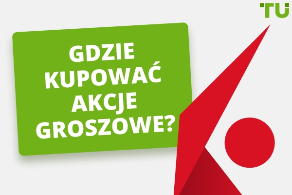 Najlepsi brokerzy do handlu akcjami groszowymi
