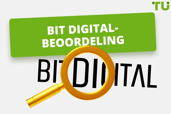 Bit Digital Belangrijke inzichten