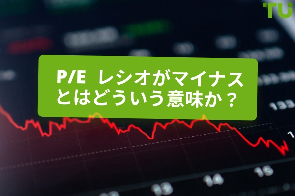ネガティブ投資P/E: リスクと展望