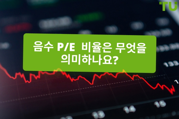 네거티브 투자 P/E: 위험 및 전망