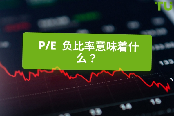 使用负P/E 进行投资：风险与前景
