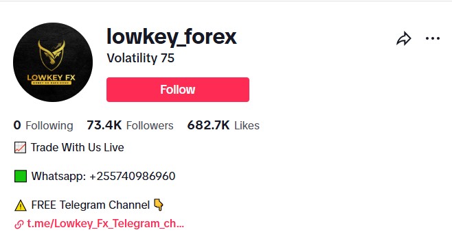 Volatility 75 (@lowkey_forex)