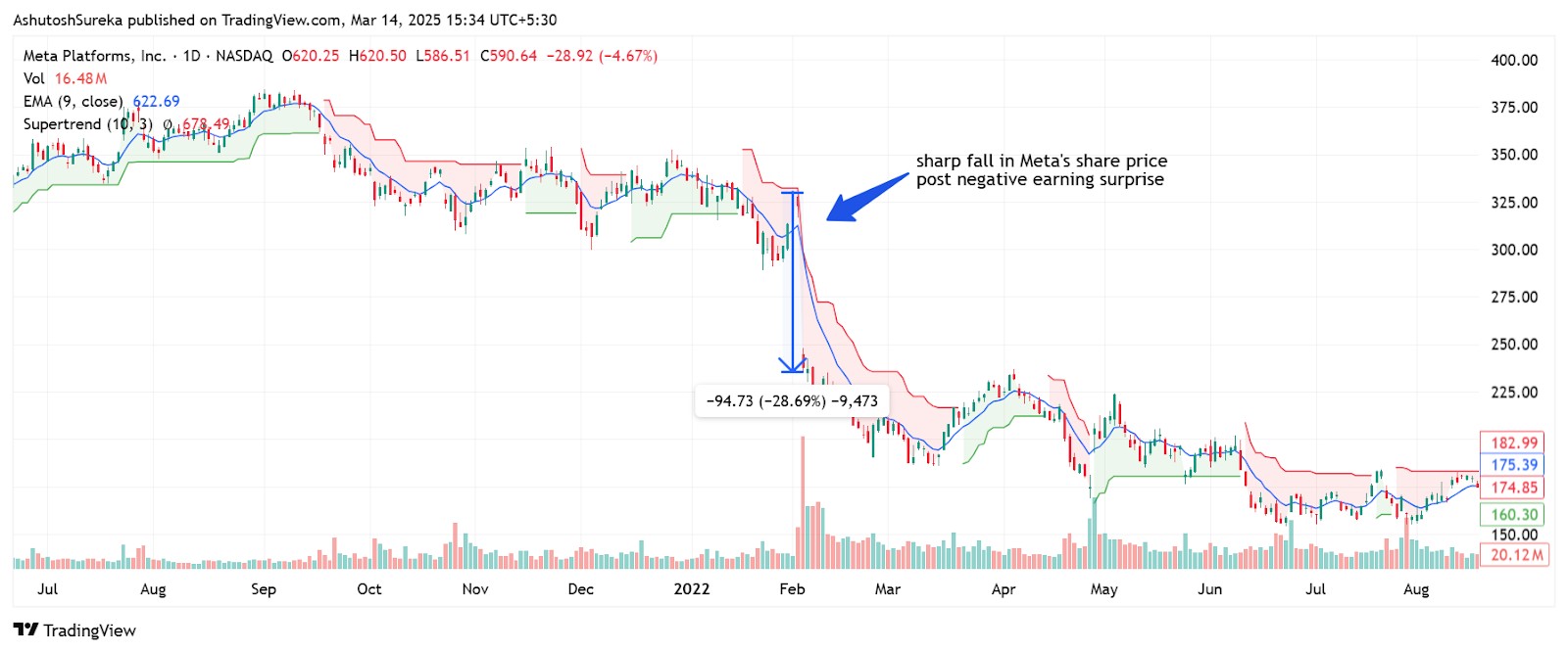Metaβs stock plunge after weak earnings (2022)
