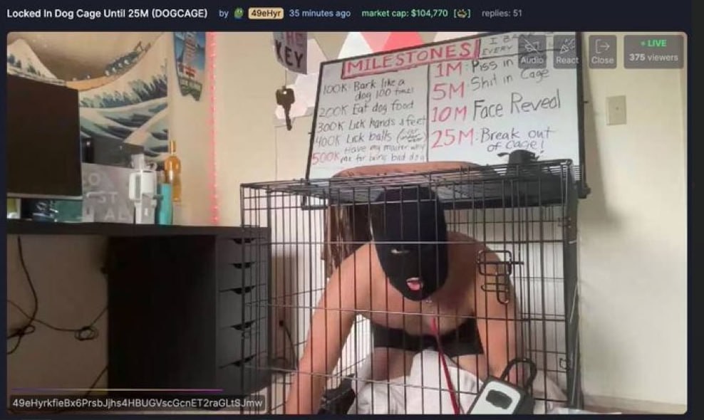 Pump. Fun Token Deployer Locked themselves in a cage to pump the price of their memecoin. 