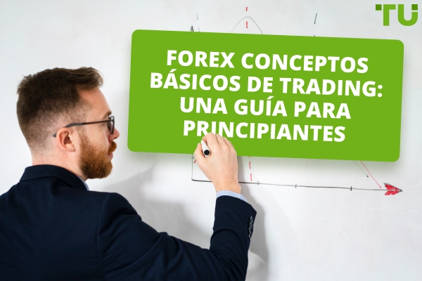 Forex Conceptos Básicos de Trading | Todo Principiante Debería Saber