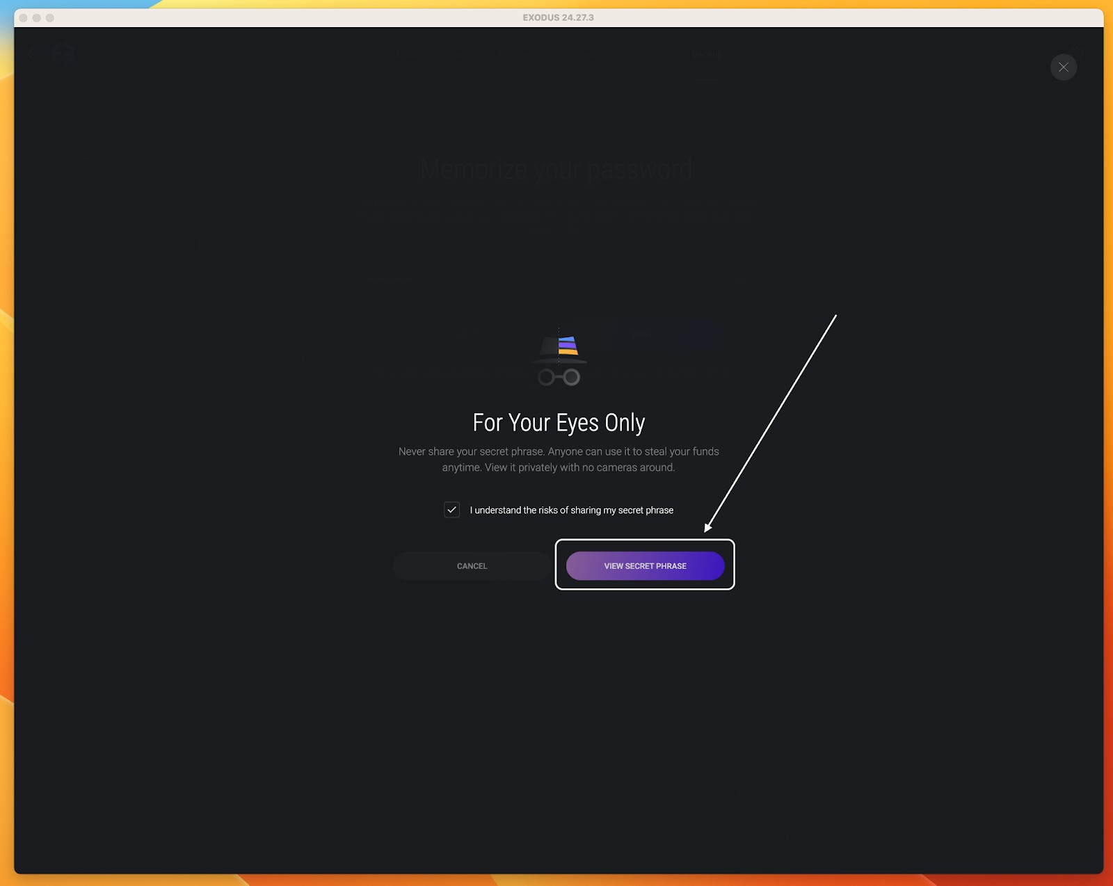 Secure your Exodus wallet