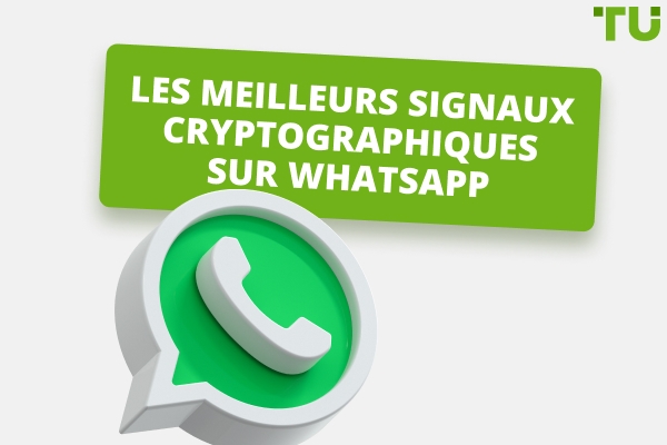 Meilleurs Signaux Crypto sur WhatsApp