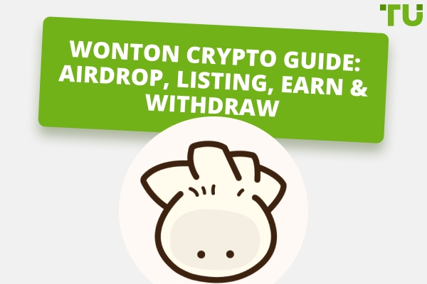 WONTON Cryptocurrency Review: How To Earn And Withdraw