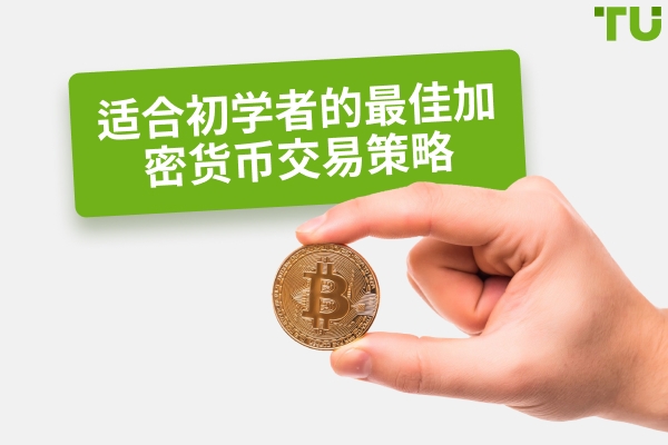 适合初学者的最佳加密货币交易策略