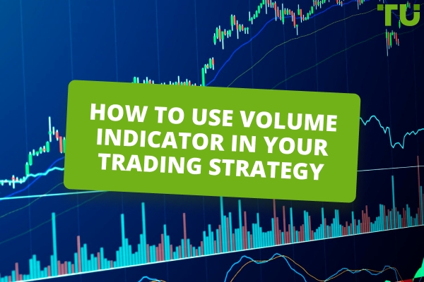 How To Use Volume Indicator To Read Market Sentiment
