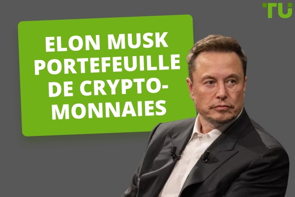 Elon Musk Vue d'ensemble du portefeuille de crypto-monnaies