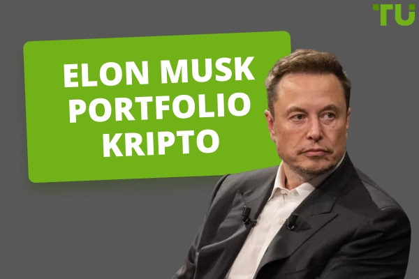 Gambaran Keseluruhan Portfolio Kripto Elon Musk