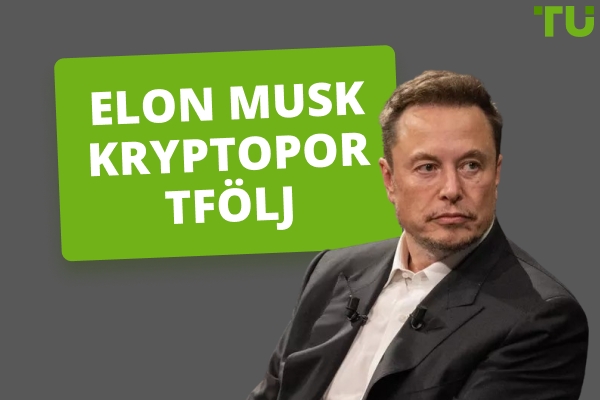 Elon Musk Kryptoportföljens översikt