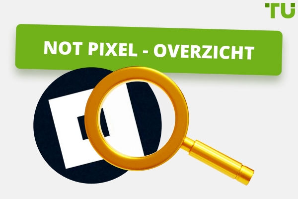 Not Pixel Beoordeling 2025