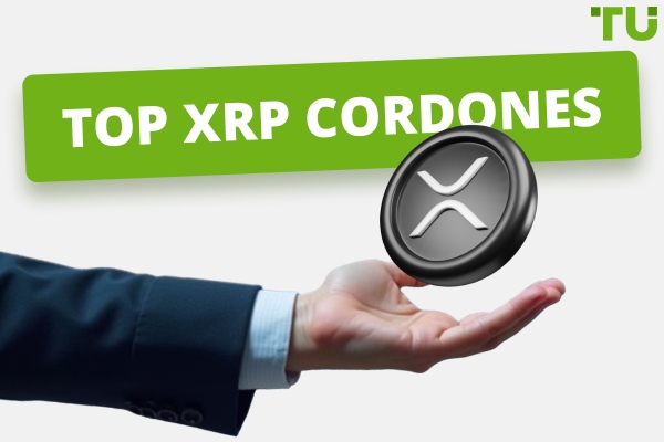 Top XRP Grifos En 2025