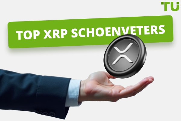 Top XRP Kranen in 2025