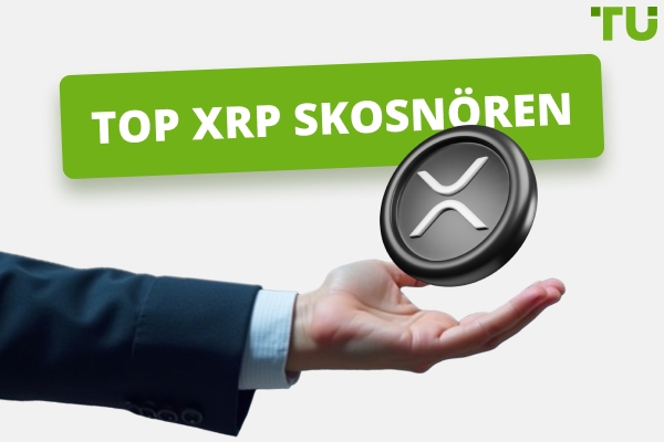 Topp XRP kranar år 2025