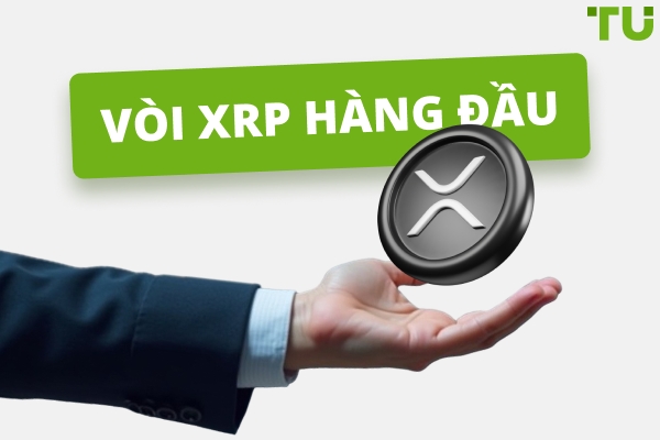 Các Vòi XRP Hàng Đầu Năm 2025