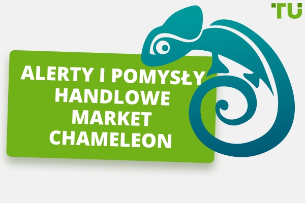 Recenzja Market Chameleon - Zalety i Wady