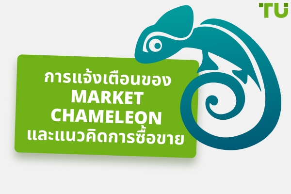 รีวิว Market Chameleon - ข้อดีและข้อเสีย