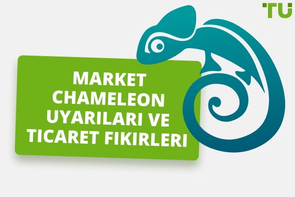Market Chameleon İncelemesi - Artıları ve Eksileri