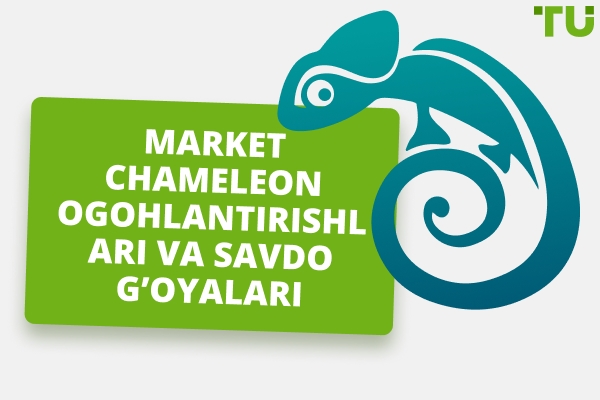 Market Chameleon Sharhi - Afzalliklari va Kamchiliklari