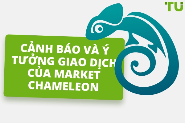Đánh giá Market Chameleon - Ưu và Nhược điểm