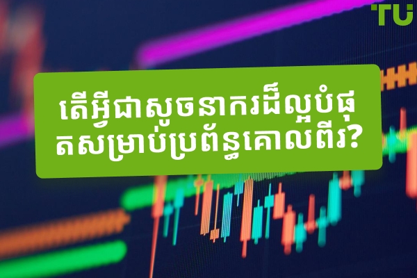 តើអ្វីជាសូចនាករល្អបំផុតសម្រាប់ប្រព័ន្ធគោលពីរ?