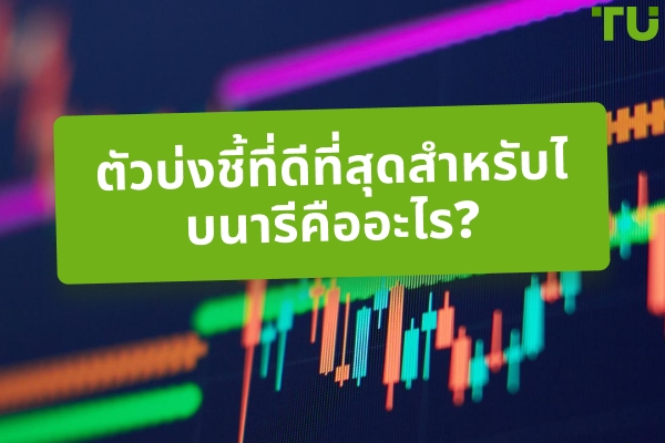 ตัวบ่งชี้ที่ดีที่สุดสำหรับไบนารีคืออะไร?