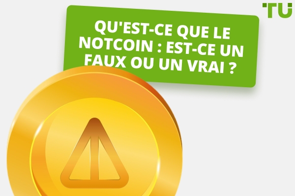 Qu'est-ce que Notcoin : Est-ce faux ou réel ?