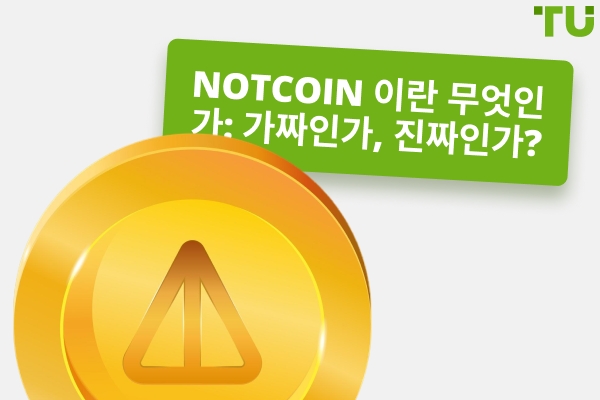 Notcoin 이란 무엇인가: 가짜인가 진짜인가?