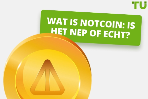 Wat is Notcoin: Is het nep of echt?