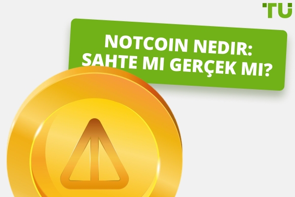 Notcoin nedir: Sahte mi Gerçek mi?