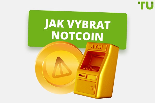 Jak vybrat Notcoin | Průvodce pro začátečníky