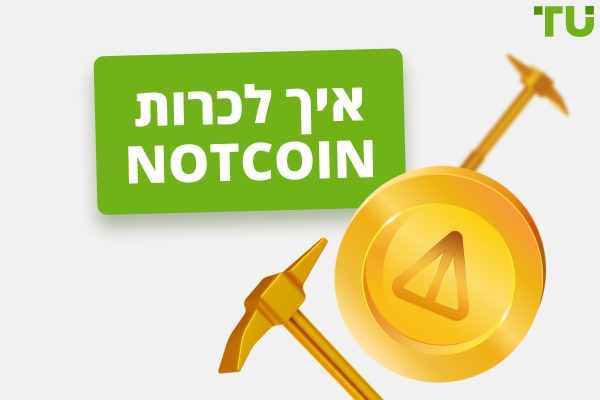 כיצד לכרות Notcoin: מדריך מקיף