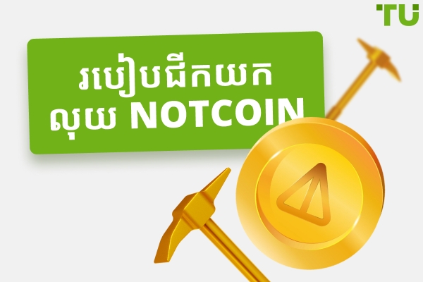 របៀបជីកយកប្រាក់ Notcoin: ការណែនាំដ៏ទូលំទូលាយ