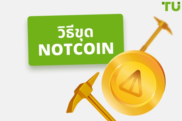 วิธีการขุด Notcoin: คู่มือฉบับสมบูรณ์