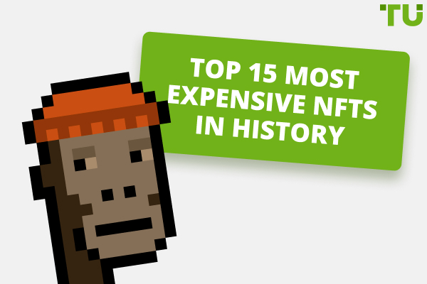Top 15 of the Most Expensive NFTs | Worth Millions of Dollars 