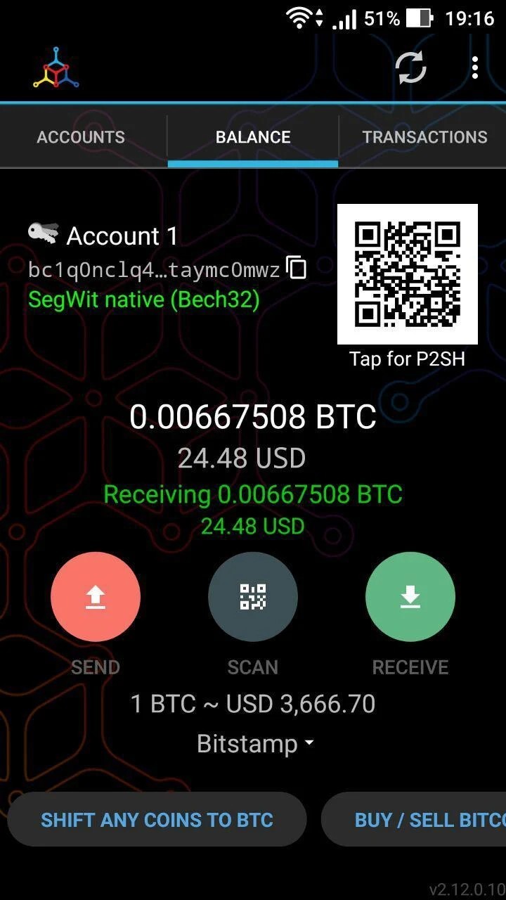Mycelium Wallet Test 2026