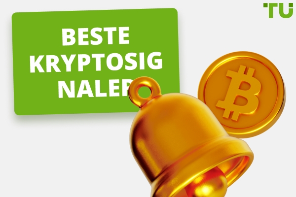 Beste tilbydere av kryptosignaler i Telegram