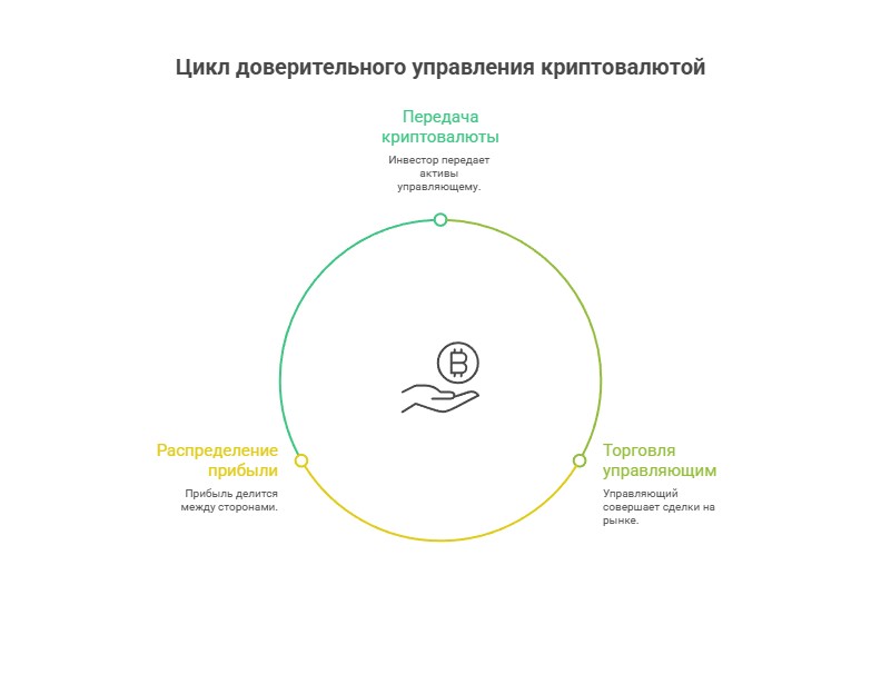 Цикл доверительного управления криптовалютой