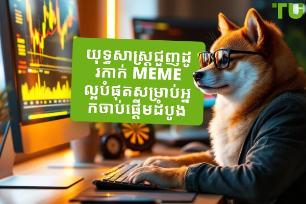 យុទ្ធសាស្រ្តជួញដូរកាក់ Meme ល្អបំផុតសម្រាប់អ្នកចាប់ផ្តើមដំបូង