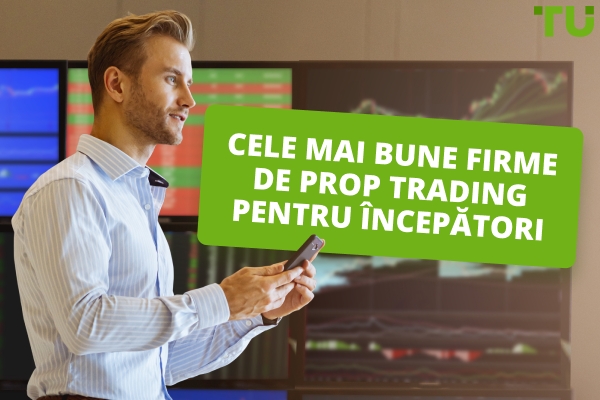 Cele mai bune firme proprietare pentru începători